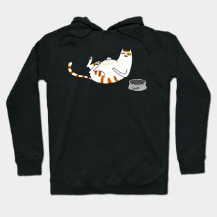 Things my cat does Hoodie